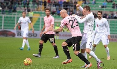 Bolzoni e Struna in vendita?