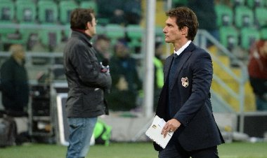 La triste storia del leone in gabbia