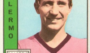 Volpi, costanza nella stagione sbagliata