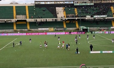 Avellino-Palermo: Posavec di nuovo in campo. Coronado dal 1'
