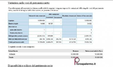 Bilancio Palermo: utile di oltre 4 milioni di euro