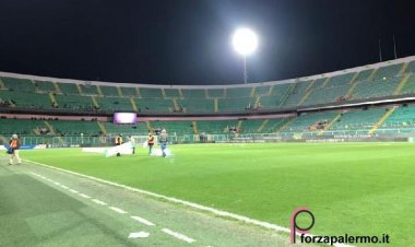 Palermo-Ascoli, i dati degli spettatori
