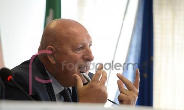 TMW - La Fiorentina vuole Lucchesi, la risposta del dg