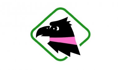 Palermo, morto Gratton: era il papà del logo rosanero anni 80