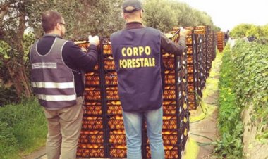 Coronavirus Sicilia, controlli alimentari: multe per 50mila euro