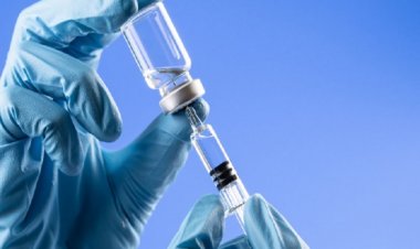 Coronavirus, gli anticorpi del vaccino italiano funzionano