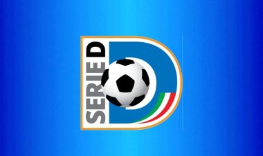 Serie D, pubblicata la classifica finale