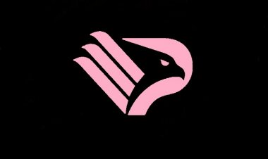 UFFICIALE: Somma è un nuovo giocatore del Palermo