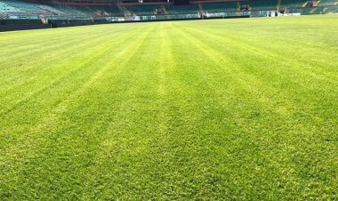 Palermo, problema campi, da domani Barbera out per 10 giorni