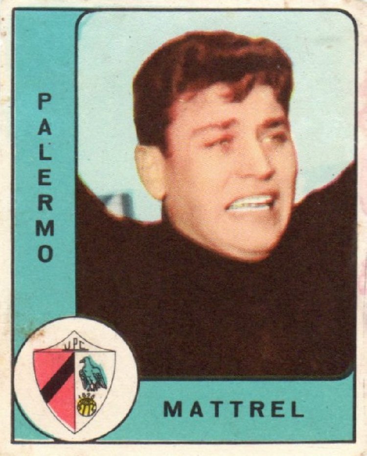 Mattrel pararigori