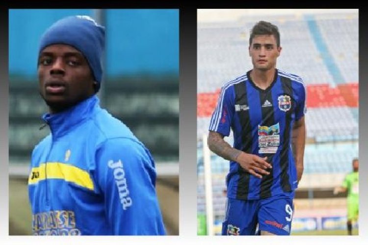 Palermo, due acquisti per Ballardini