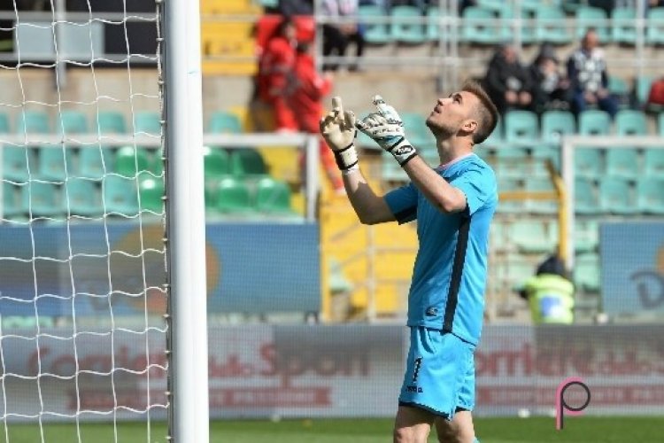 Andelkovic: La Gumina e Nestorovski ottime qualità, Posavec...