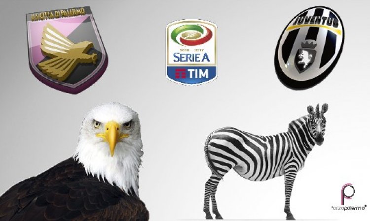 La mia aquila è più grande della zebra