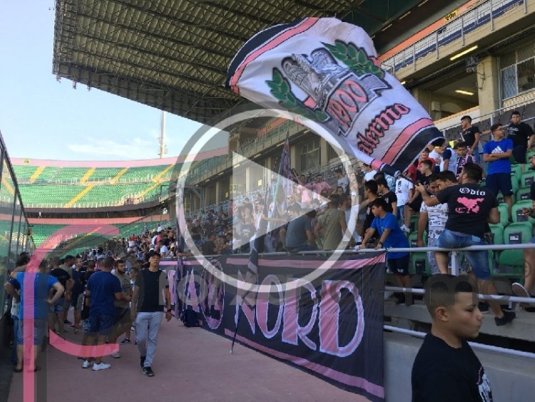 VIDEO - Diversi tifosi in fila per Nestorovski