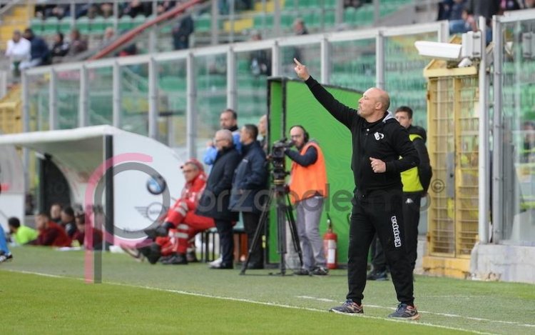 Rispetto! Per i leoni da tastiera soltanto pena