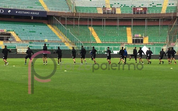 Palermo casa e campo. In attesa della decisione della LND 