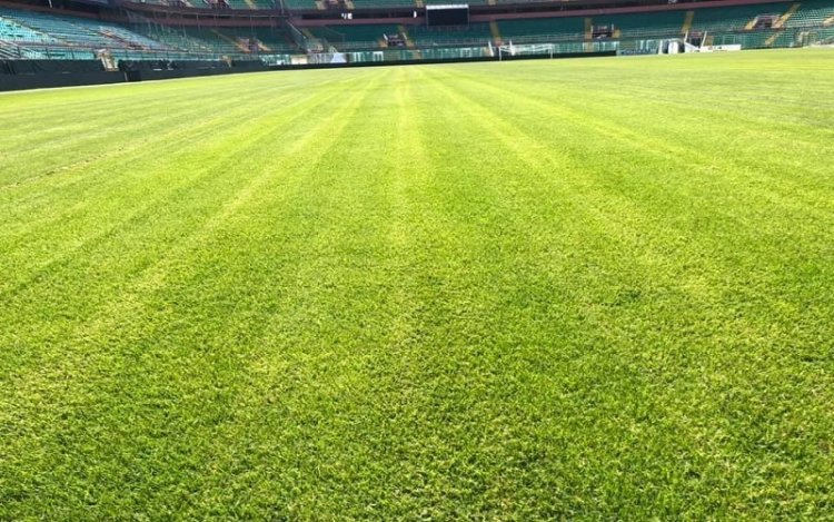 FOTO/ Il Renzo Barbera in condizioni strepitose