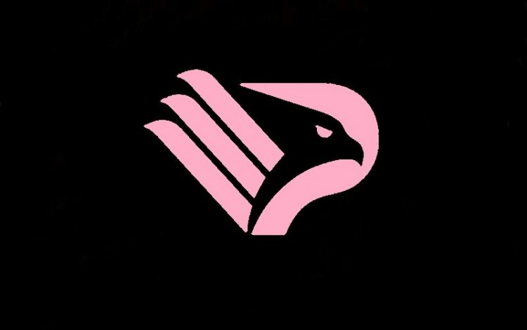 PALERMO PROMOSSO IN SERIE C, IL COMUNICATO