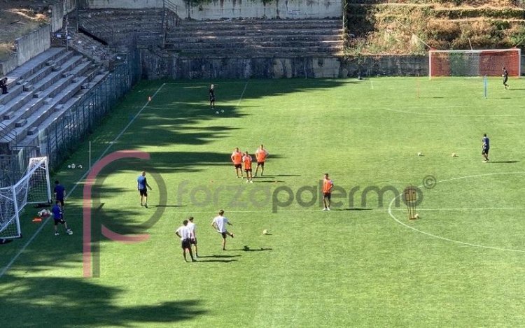 VIDEO/Petralia: Palermo, movimenti difensivi