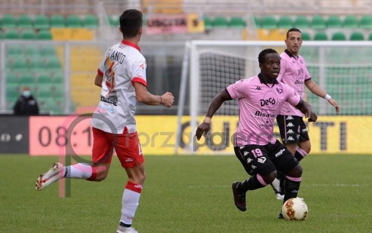 Viterbese-Palermo, i convocati di Boscaglia