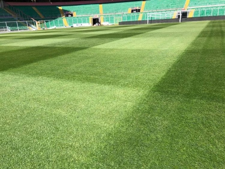 Stadio, interventi di manutenzione al manto erboso