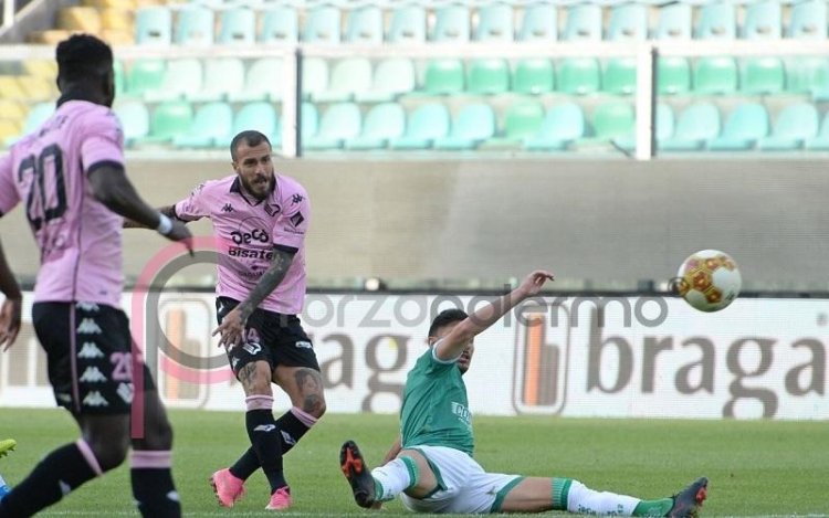 Palermo, entra in diffida Valente e 1000 euro di multa al club