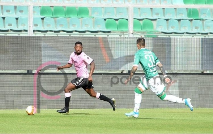 Palermo - Sudtirol, la probabile formazione dei rosanero