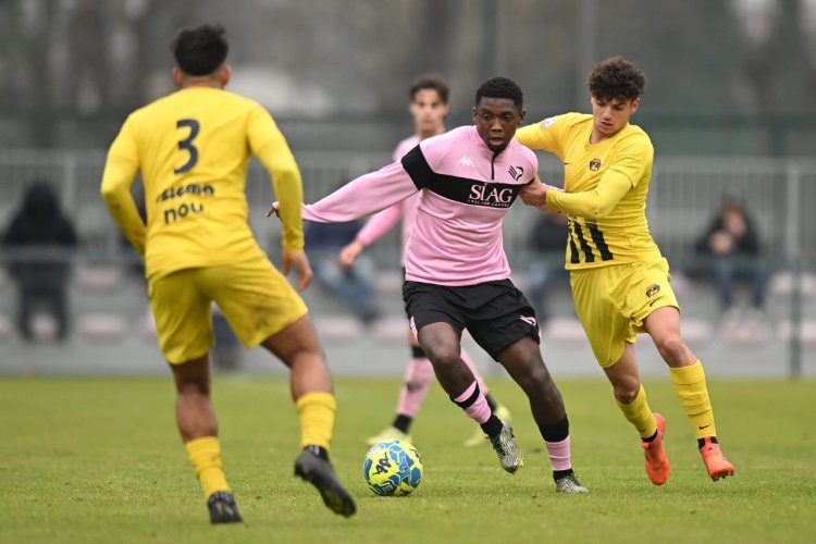 Palermo, UFFICIALE. Broh rinnova fino al 2025