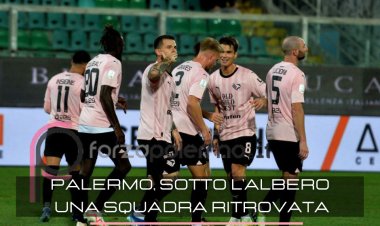 Palermo, sotto l'albero una squadra ritrovata