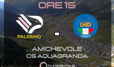 Palermo, oggi il primo test dell'era Dionisi