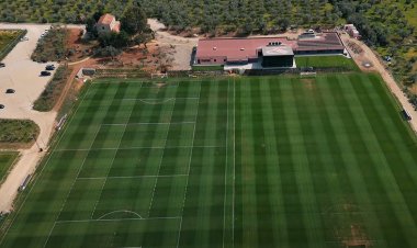 Palermo, subito in campo per preparare Frosinone