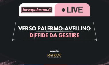 Verso Palermo-Avellino: diffide da gestire - ForzaPalermo.it LIVE