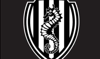 Cesena, verso il Palermo: le probabili scelte di formazione di Ashley Cole