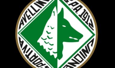 Verso Avellino-Palermo: la probabile formazione dei «Lupi»