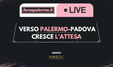 Verso Palermo-Padova: cresce l'attesa - ForzaPalermo.it LIVE