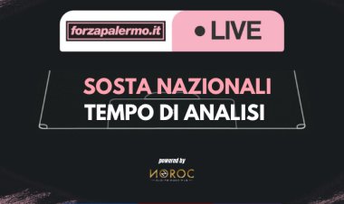 Sosta nazionali: tempo di analisi - ForzaPalermo.it LIVE