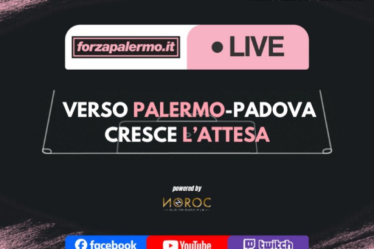 Verso Palermo-Padova: cresce l'attesa - ForzaPalermo.it LIVE