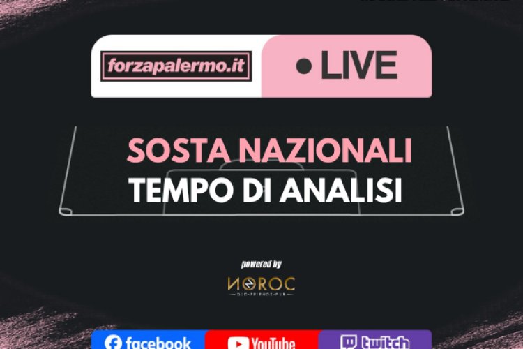 Sosta nazionali: tempo di analisi - ForzaPalermo.it LIVE