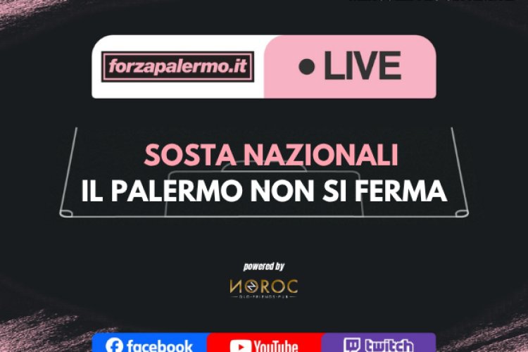 Sosta nazionali: il Palermo non si ferma - ForzaPalermo.it LIVE